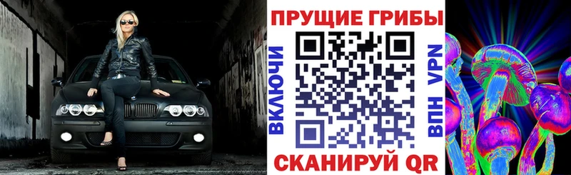 магазин    Севск  Галлюциногенные грибы Magic Shrooms 